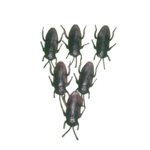 ابزار شوخی مدل سوسک مجموعه 6 عددی