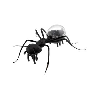 اسباب بازی زینتی برانت مدل خورشیدی طرح مورچه