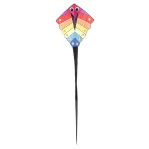 بادبادک طرح colorful سایز 3
