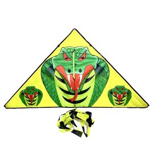 بادبادک مدل کایت طرح مار دنباله ۵متری