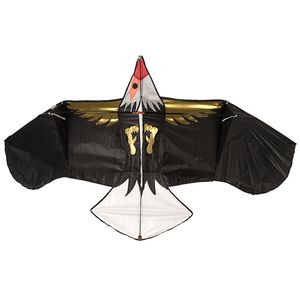 بادباک طرح eagle سایز 2