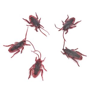 بسته آموزشی کودکان با حشرات بسته 5 عددی سوسک