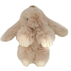 جاسوییچی پولیشی برساد مدل rabbit01