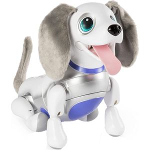 ربات اسپین مستر مدل playful pup