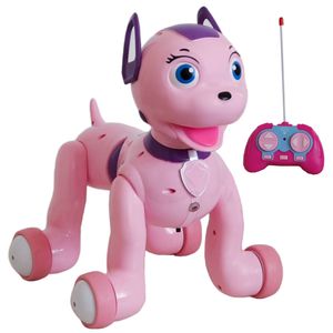ربات مدل puppy طرح ml2020