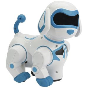 ربات مدل smart playmate