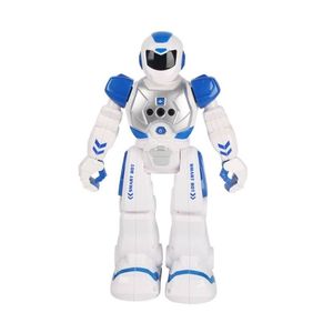 ربات کنترلی مدل smart warrior