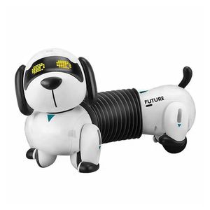 ربات کنترلی مدل سگ