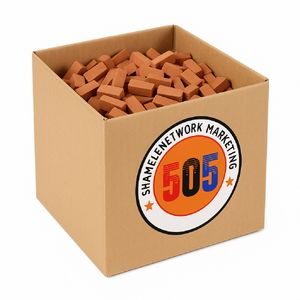 ساختنی 300 تکه مدل آجر مینیاتوری خانه سازی و ماکت سازی 505 کد bx s300