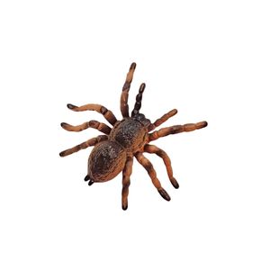 فیگور ناب سل مدل رتیل زانو قرمز مکزیکی mexican redknee tarantula ارتفاع 1 سانتی متر