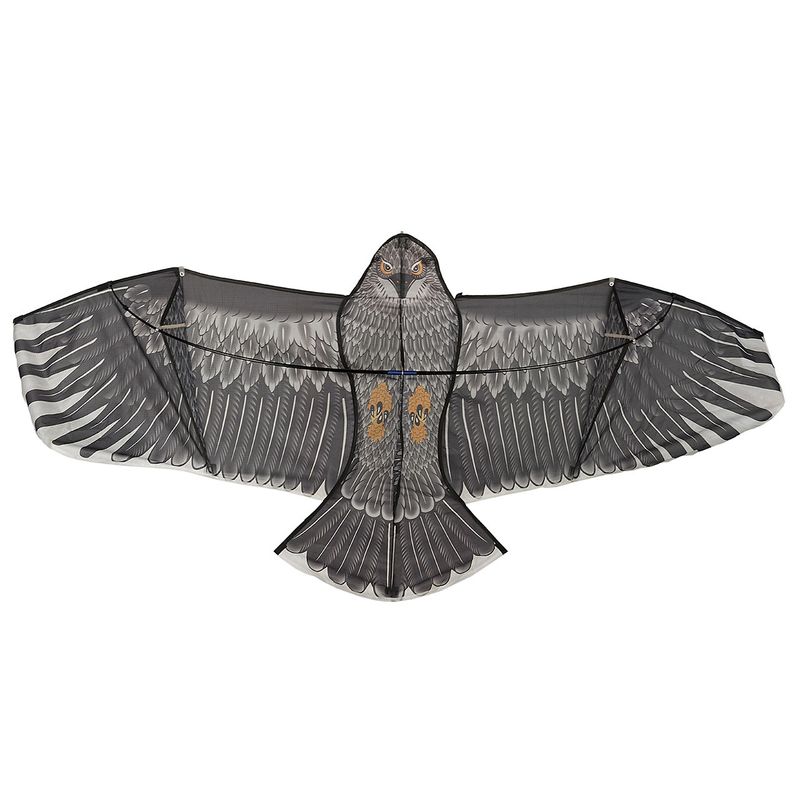 بادبادک طرح eagle سایز 3