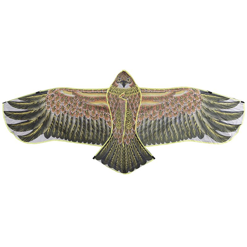 بادبادک طرح eagle سایز 5