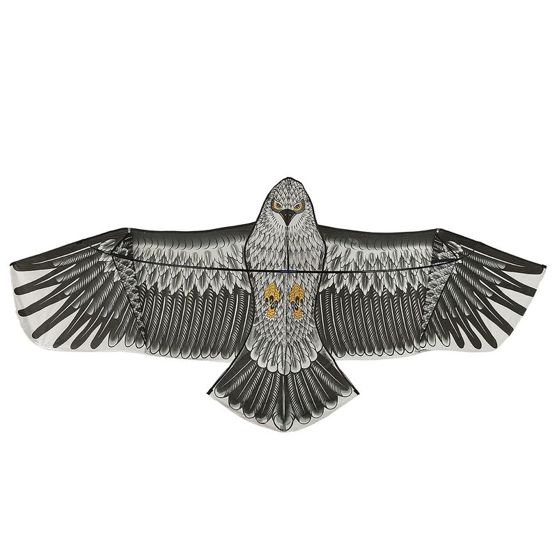 بادبادک طرح eagle سایز 6