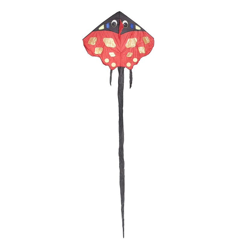 بادبادک طرح ladybird سایز 3