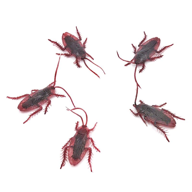 بسته آموزشی کودکان با حشرات بسته 5 عددی سوسک