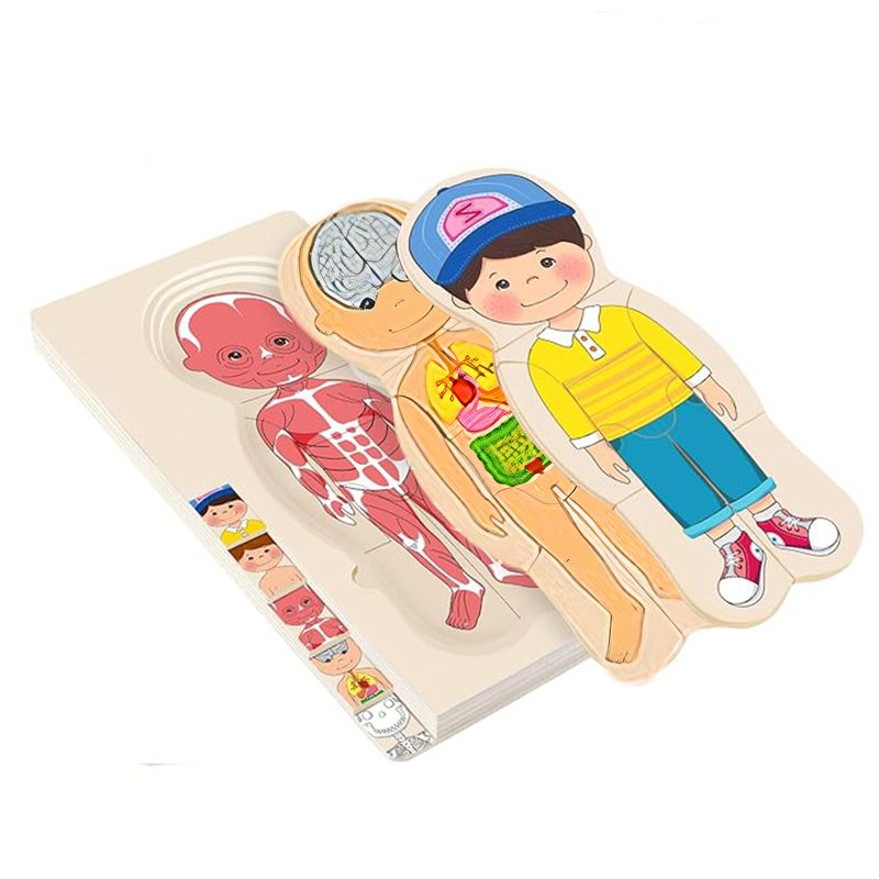 پازل 29 تکه مدل 5 لایه طرح ساختار بدن