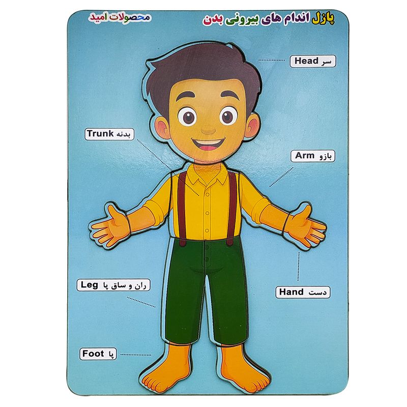 پازل آموزشی محصولات امید مدل بدن انسان